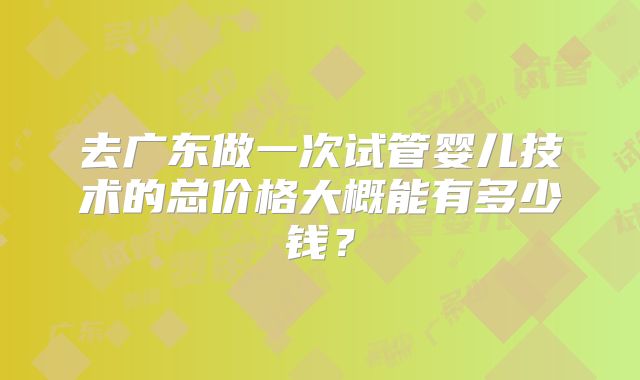 去广东做一次试管婴儿技术的总价格大概能有多少钱？