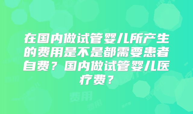 在国内做试管婴儿所产生的费用是不是都需要患者自费？国内做试管婴儿医疗费？