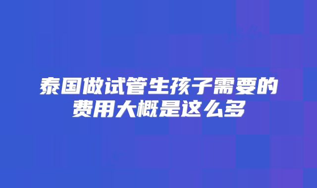 泰国做试管生孩子需要的费用大概是这么多