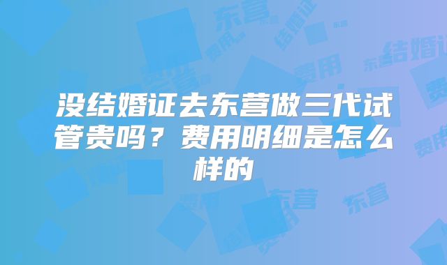 没结婚证去东营做三代试管贵吗?费用明细是怎么样的