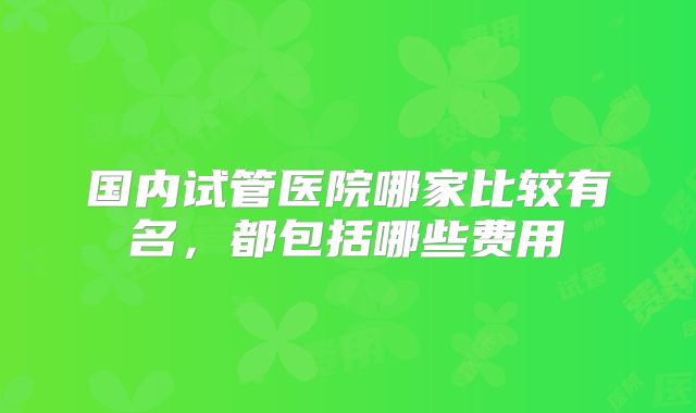 国内试管医院哪家比较有名,都包括哪些费用