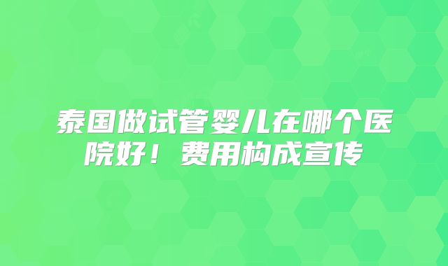 泰国做试管婴儿在哪个医院好！费用构成宣传