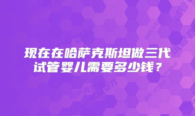 现在在哈萨克斯坦做三代试管婴儿需要多少钱？
