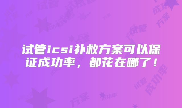 试管icsi补救方案可以保证成功率，都花在哪了！
