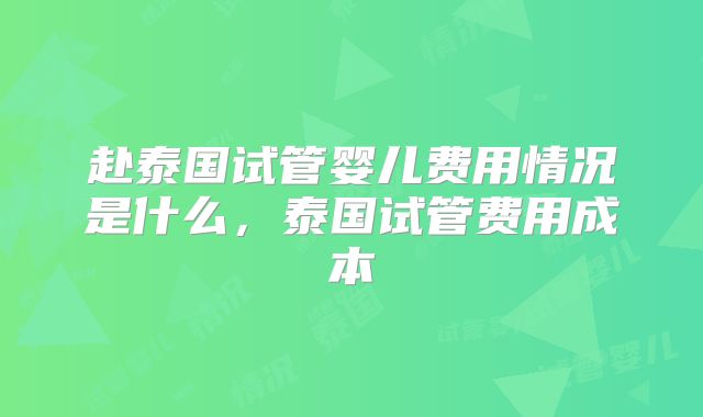 赴泰国试管婴儿费用情况是什么，泰国试管费用成本