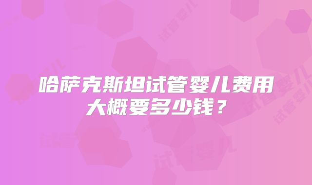 哈萨克斯坦试管婴儿费用大概要多少钱？