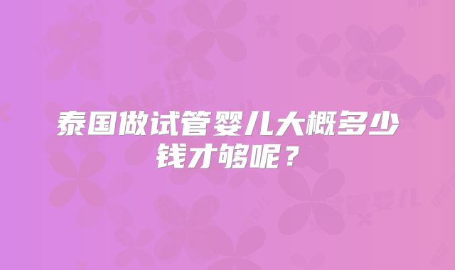 泰国做试管婴儿大概多少钱才够呢？