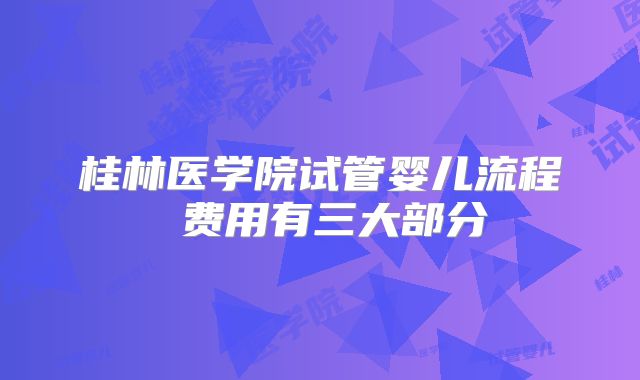 桂林医学院试管婴儿流程 费用有三大部分