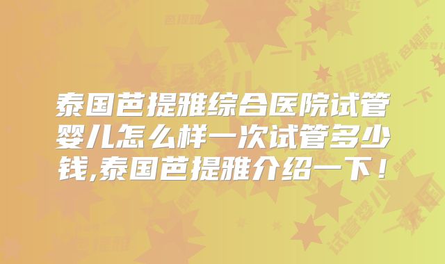 泰国芭提雅综合医院试管婴儿怎么样一次试管多少钱,泰国芭提雅介绍一下!