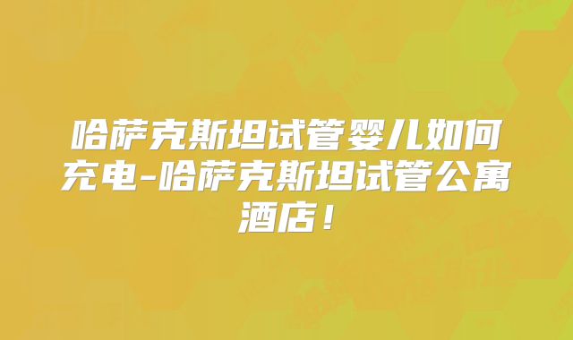 哈萨克斯坦试管婴儿如何充电-哈萨克斯坦试管公寓酒店！