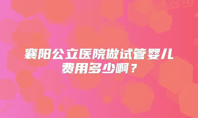 襄阳公立医院做试管婴儿费用多少啊？