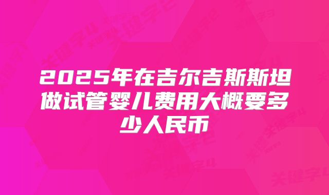 2025年在吉尔吉斯斯坦做试管婴儿费用大概要多少人民币