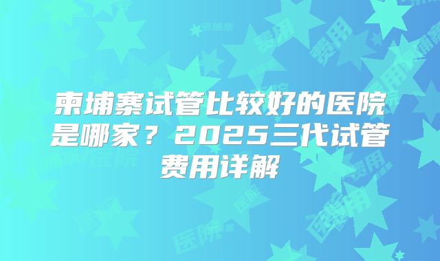 柬埔寨试管比较好的医院是哪家？2025三代试管费用详解