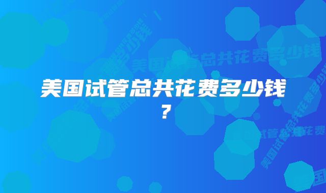 美国试管总共花费多少钱？