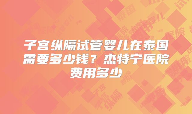子宫纵隔试管婴儿在泰国需要多少钱？杰特宁医院费用多少