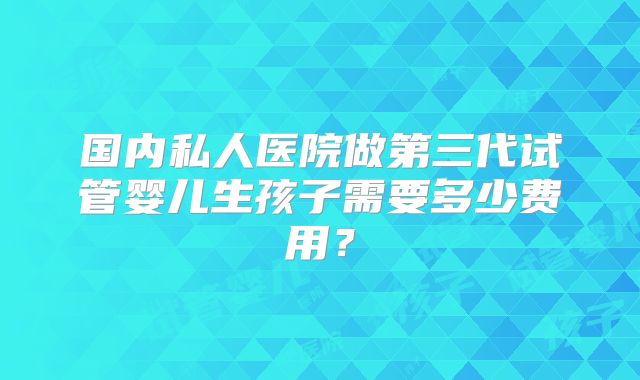 国内私人医院做第三代试管婴儿生孩子需要多少费用?