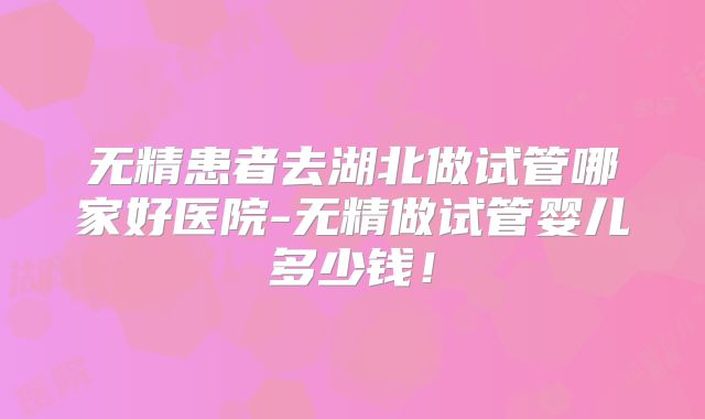 无精患者去湖北做试管哪家好医院-无精做试管婴儿多少钱！