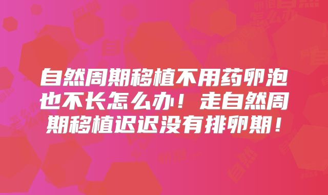 自然周期移植不用药卵泡也不长怎么办!走自然周期移植迟迟没有排卵期!
