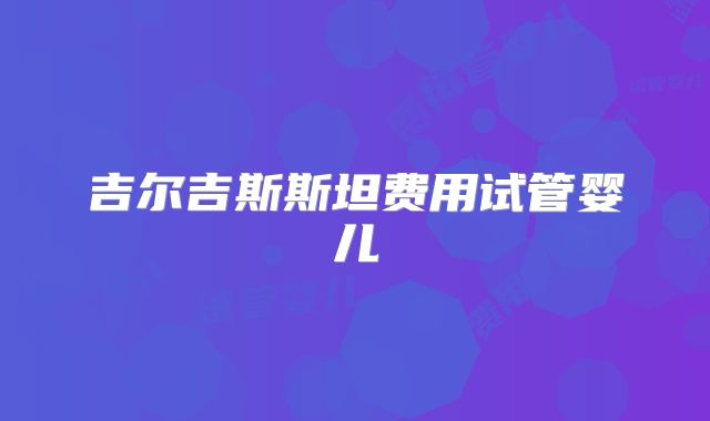 吉尔吉斯斯坦费用试管婴儿