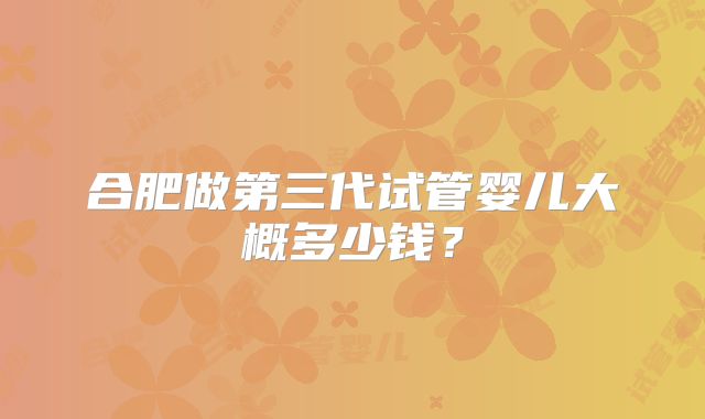 合肥做第三代试管婴儿大概多少钱？
