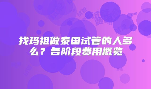 找玛祖做泰国试管的人多么？各阶段费用概览