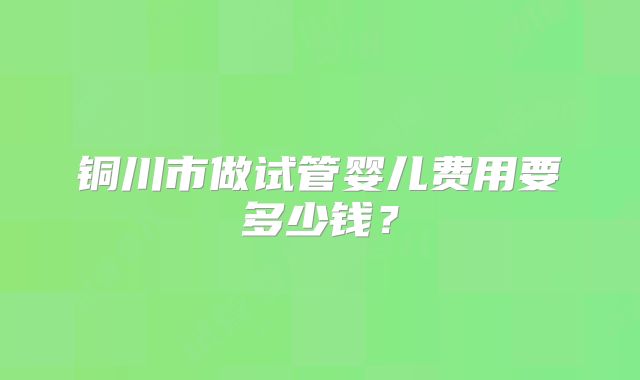 铜川市做试管婴儿费用要多少钱？