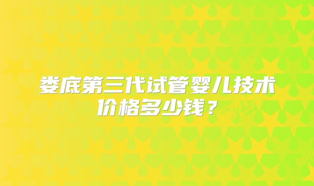 娄底第三代试管婴儿技术价格多少钱?