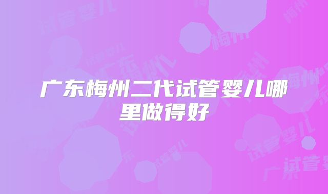 广东梅州二代试管婴儿哪里做得好