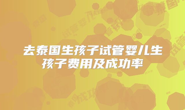 去泰国生孩子试管婴儿生孩子费用及成功率