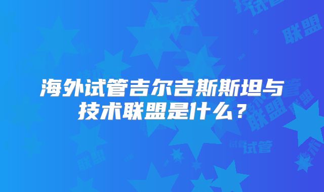 海外试管吉尔吉斯斯坦与技术联盟是什么？