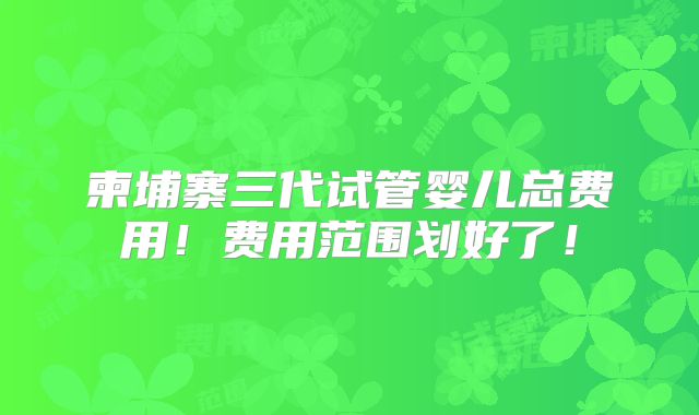 柬埔寨三代试管婴儿总费用！费用范围划好了！