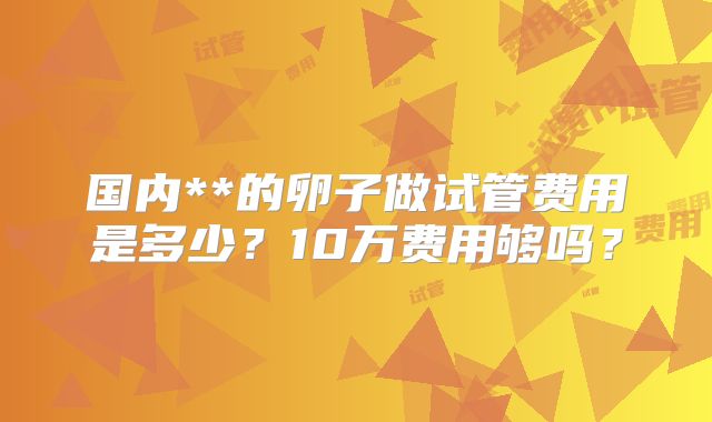 国内**的卵子做试管费用是多少？10万费用够吗？