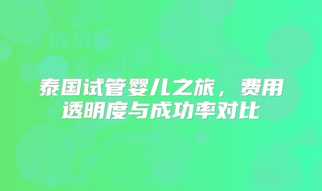 泰国试管婴儿之旅，费用透明度与成功率对比