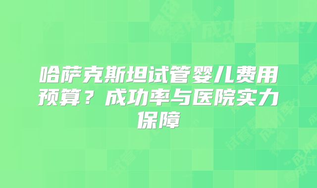 哈萨克斯坦试管婴儿费用预算？成功率与医院实力保障