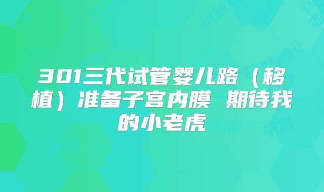 301三代试管婴儿路(移植)准备子宫内膜 期待我的小老虎
