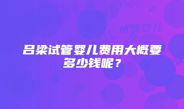 吕梁试管婴儿费用大概要多少钱呢？