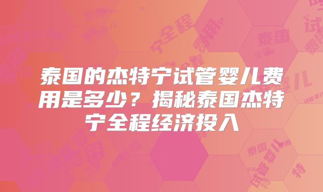 泰国的杰特宁试管婴儿费用是多少?揭秘泰国杰特宁全程经济投入