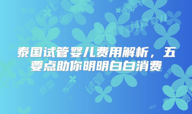 泰国试管婴儿费用解析，五要点助你明明白白消费