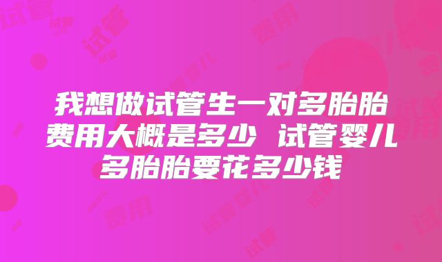 我想做试管生一对多胎胎费用大概是多少 试管婴儿多胎胎要花多少钱