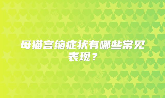 母猫宫缩症状有哪些常见表现？