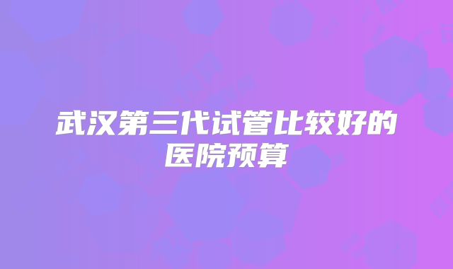 武汉第三代试管比较好的医院预算