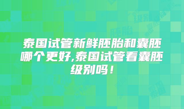 泰国试管新鲜胚胎和囊胚哪个更好,泰国试管看囊胚级别吗！