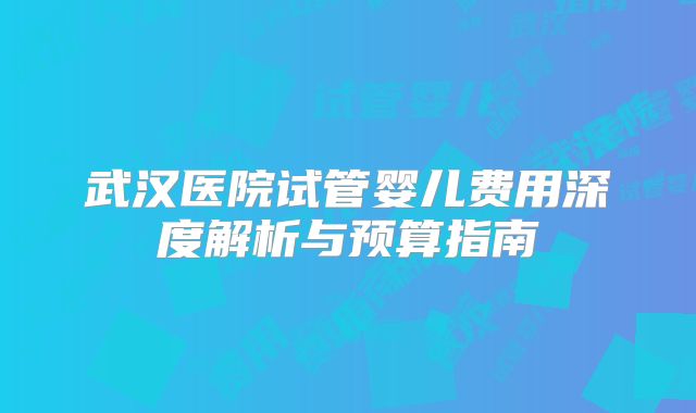 武汉医院试管婴儿费用深度解析与预算指南