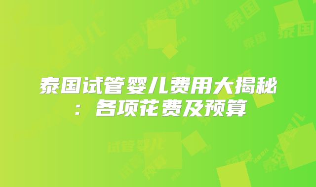 泰国试管婴儿费用大揭秘:各项花费及预算