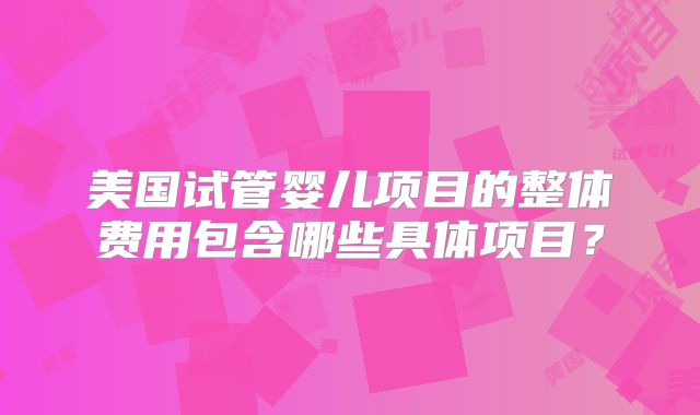 美国试管婴儿项目的整体费用包含哪些具体项目？