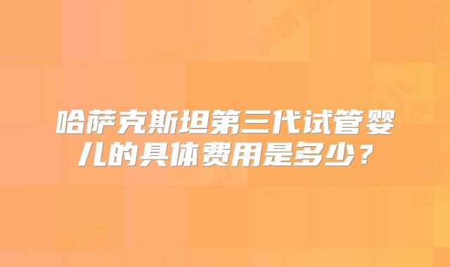 哈萨克斯坦第三代试管婴儿的具体费用是多少？
