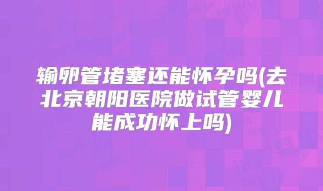 输卵管堵塞还能怀孕吗(去北京朝阳医院做试管婴儿能成功怀上吗)