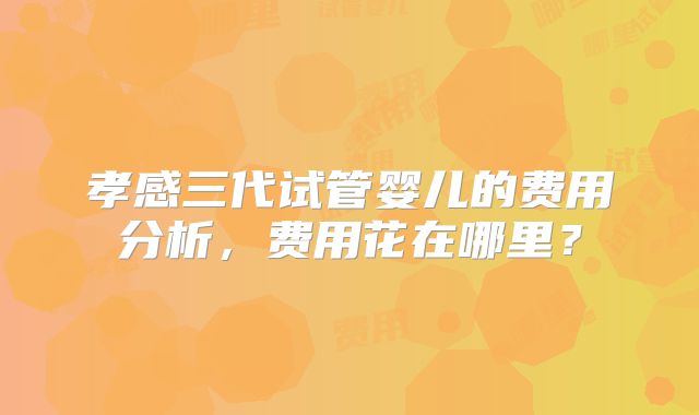 孝感三代试管婴儿的费用分析，费用花在哪里？