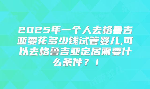 2025年一个人去格鲁吉亚要花多少钱试管婴儿,可以去格鲁吉亚定居需要什么条件？！