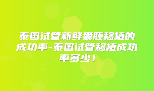 泰国试管新鲜囊胚移植的成功率-泰国试管移植成功率多少！